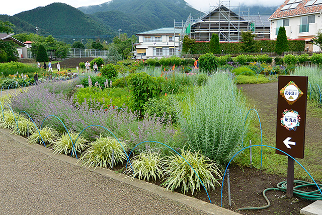 花小富士と花街道の立て札