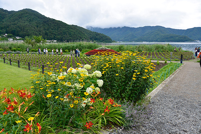 花街道の終点から