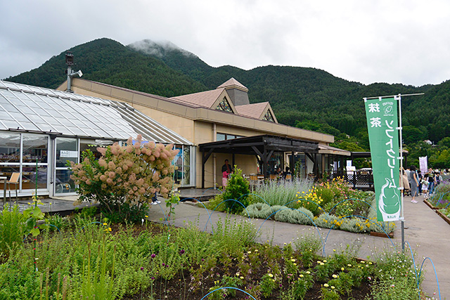 河口湖自然生活館の裏手