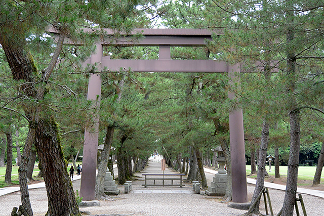 第三の鳥居・松の参道