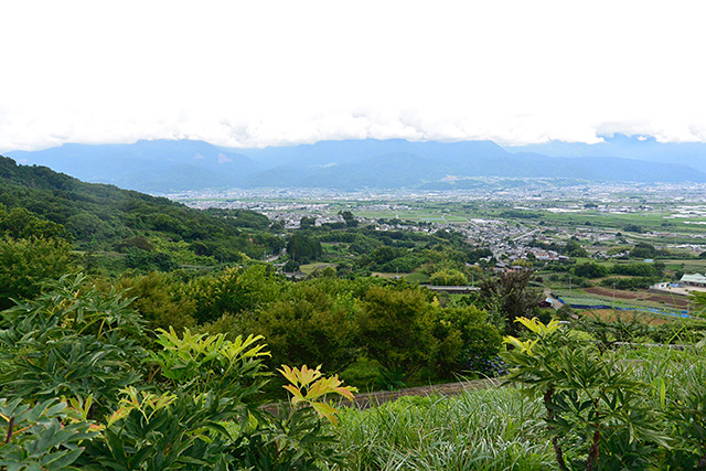 甲府盆地の眺望