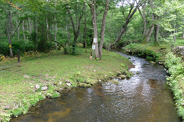 奥社鳥居の前を流れる逆川