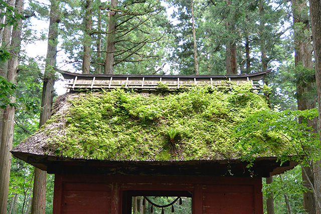 戸隠神社・随神門