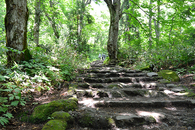 戸隠神社・奥社の登り参道