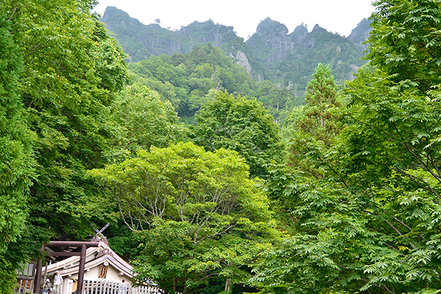 奥社の背景はギザギザ峰の戸隠山