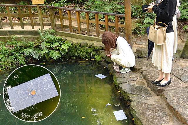 八重垣神社・鏡の池（姿見の池）と占い