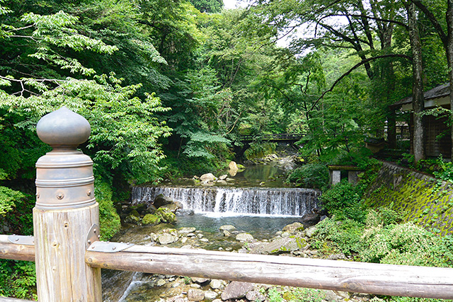 古峯園（こほうえん）の橋からの眺め