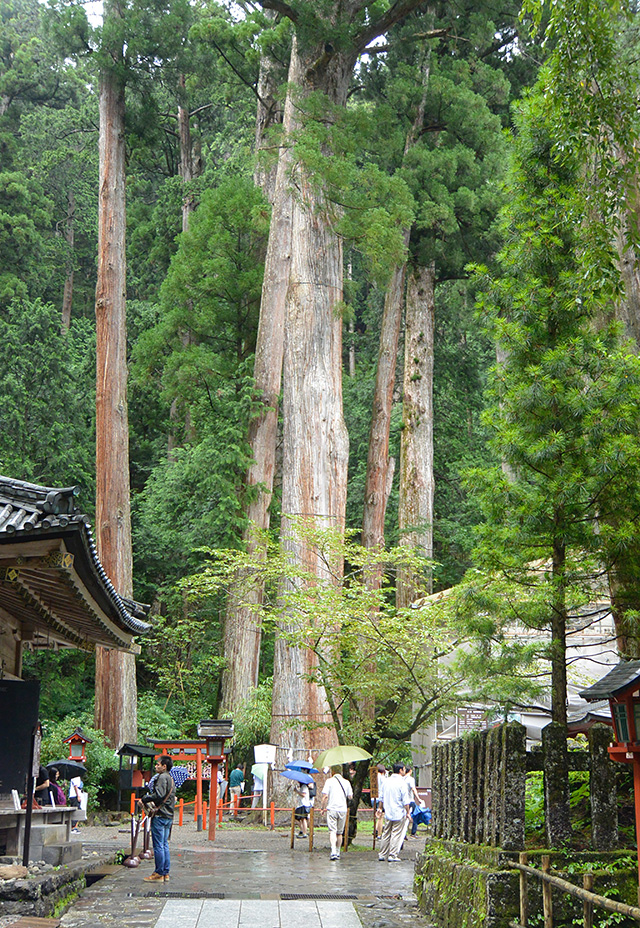 二荒山神社・神苑