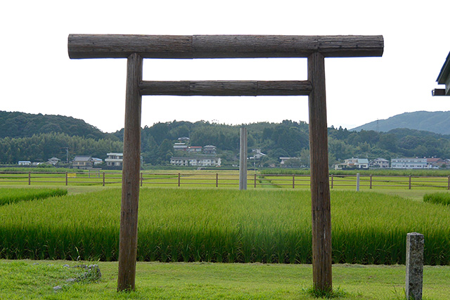 磯部の御神田