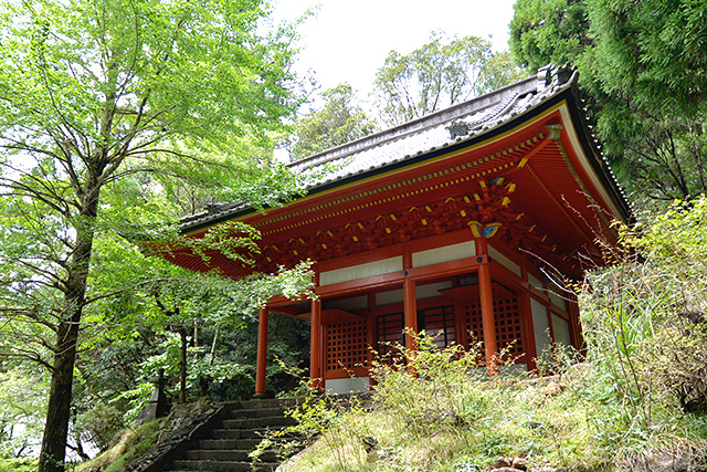 金剛證寺・明星堂