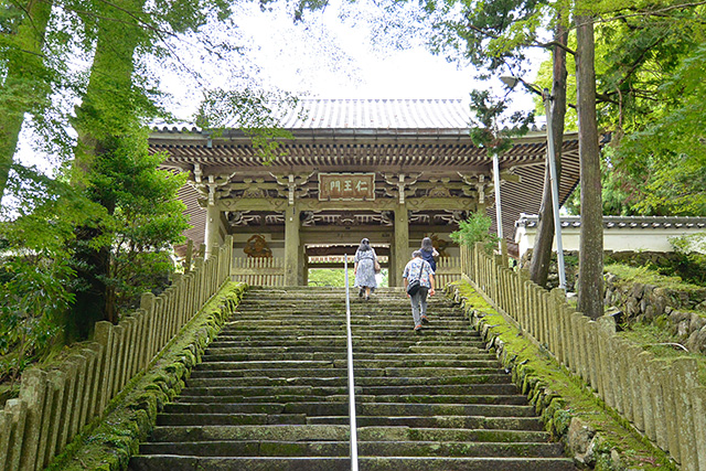 金剛證寺・仁王門
