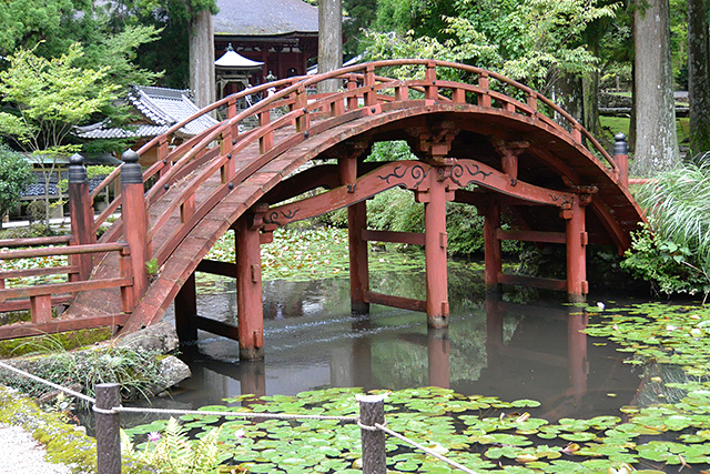 金剛證寺・連間の池