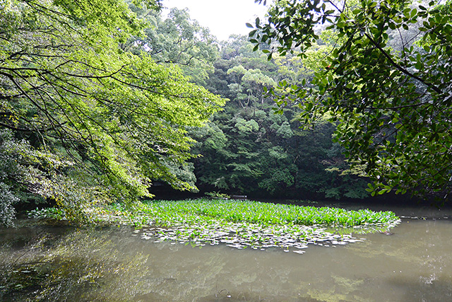 伊勢神宮・内宮