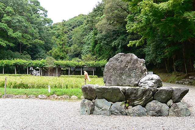 猿田彦神社・御神田