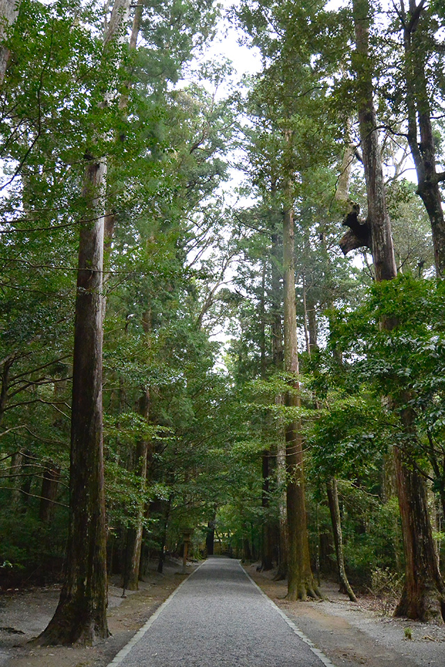 瀧原宮・参道