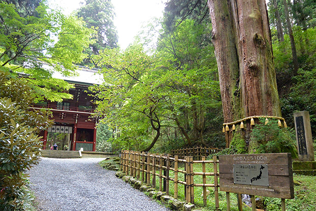 御岩神社・三本杉と楼門