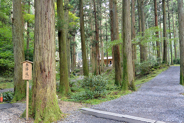 御岩神社・参拝道