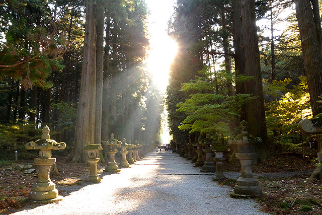 北口本宮冨士浅間神社・参道