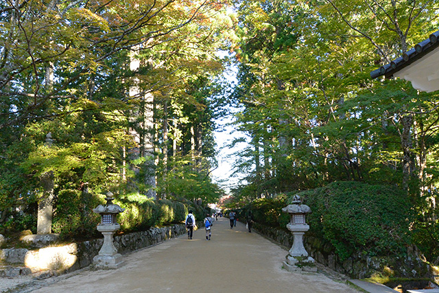 高野山・蛇腹路