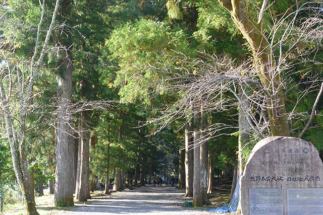 大斎原・参道