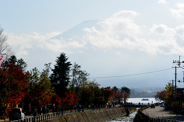 河口湖・もみじ回廊と富士山