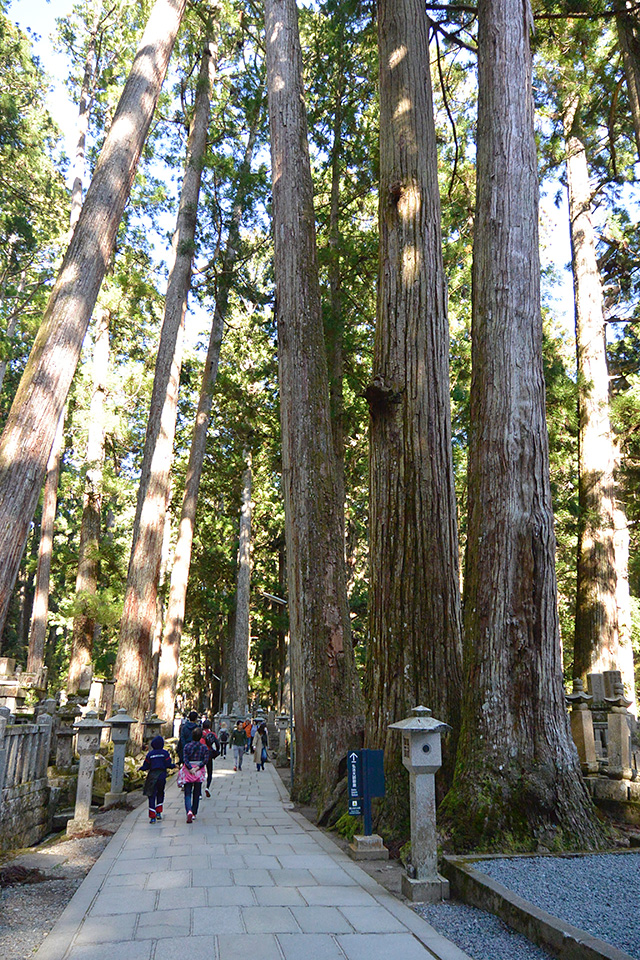 高野山・奥之院参道