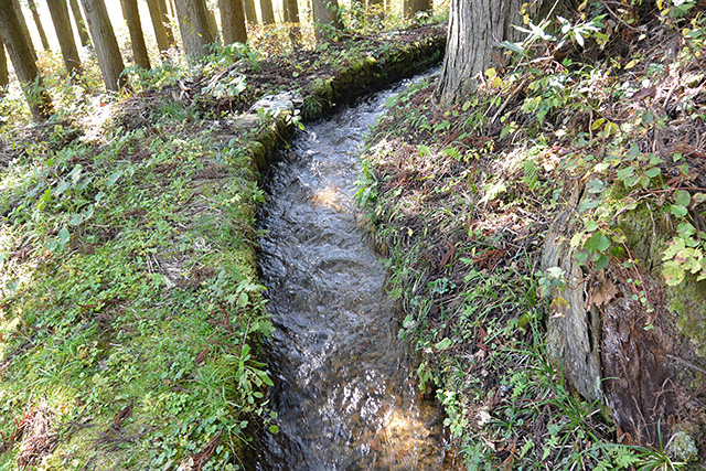 高倉神社の手水舎の水路