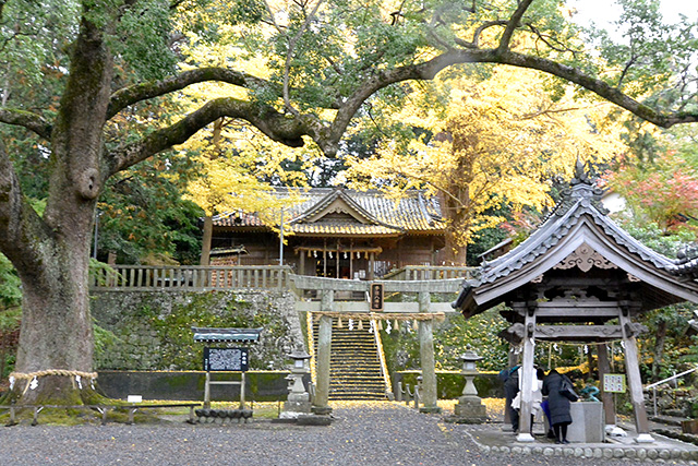 事任八幡宮・手水舎