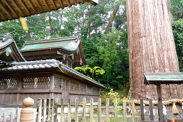 事任八幡宮・本殿