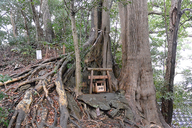 事任八幡宮・禁足地