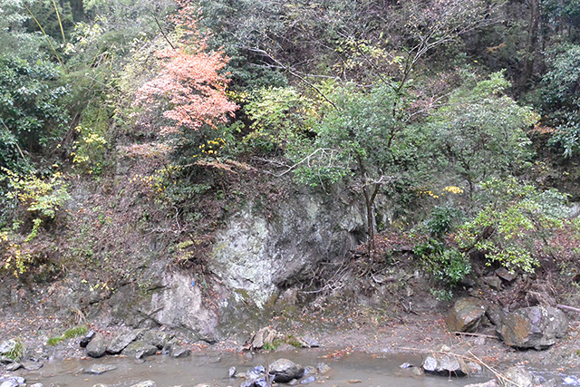 事任八幡宮・禁足地の渓谷