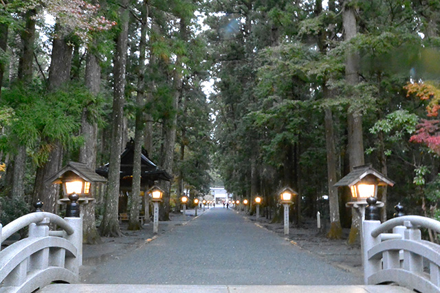 小國神社・松並み木の参道