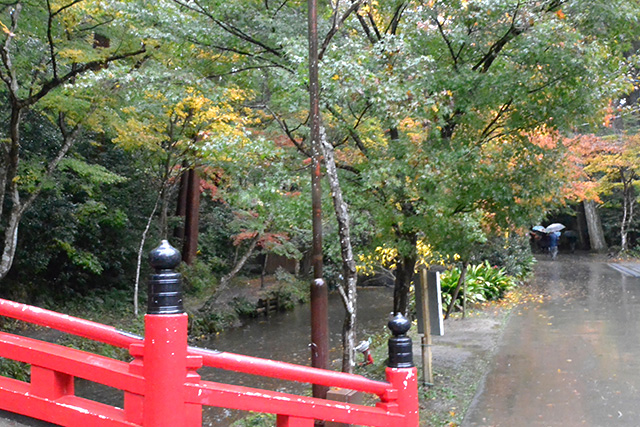 小國神社・宮川沿いの紅葉