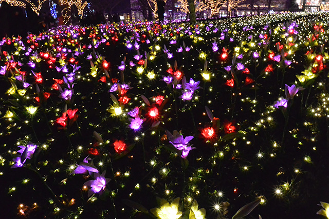 さがみ湖イルミニオン・光の花畑