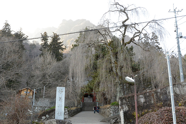 妙義神社・しだれ桜