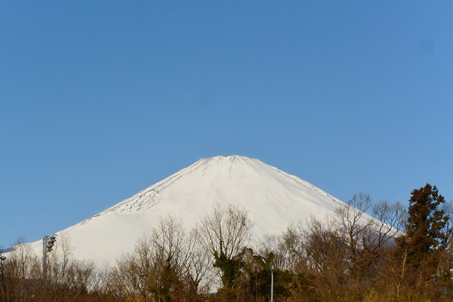 足柄SAからの富士山