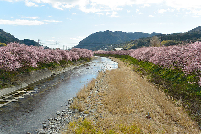 かわづいでゆ橋から下流の景観