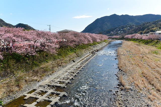 豊泉橋からの下流の景観