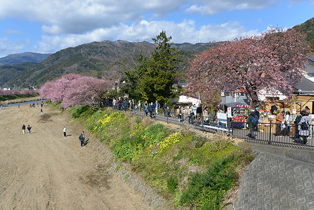 来宮橋からの上流の景観