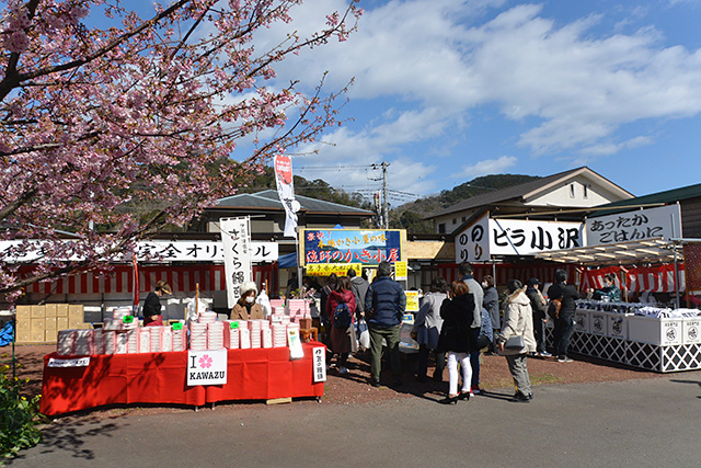 河津桜の屋台