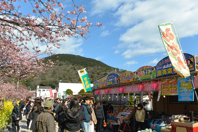 河津桜・館橋近辺の屋台通り