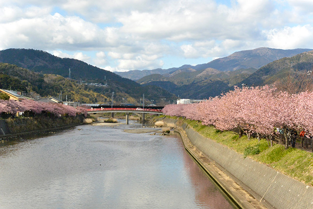 浜橋から館橋の方を見る