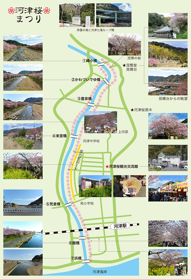 河津桜まつり地図