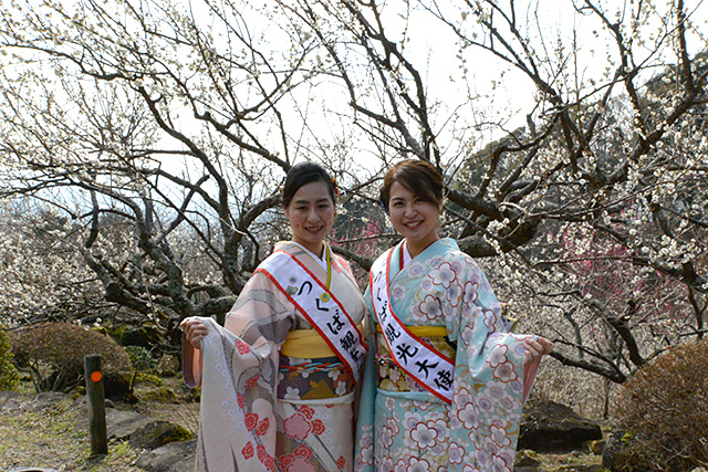 筑波山梅まつり