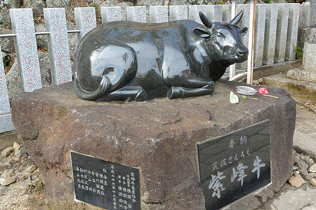 筑波山神社・紫峰牛