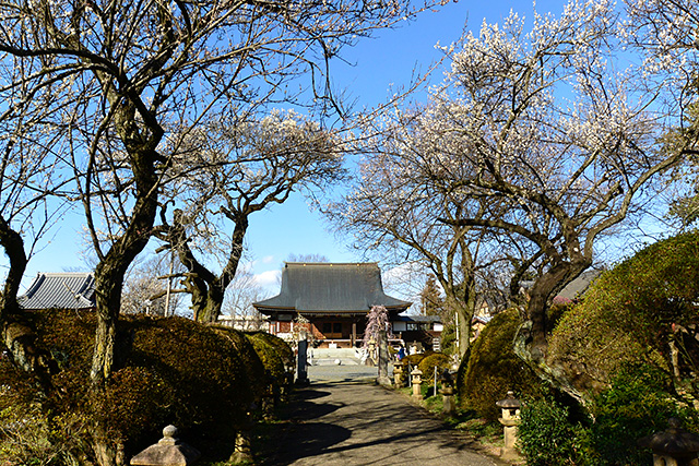 うめでら東持寺