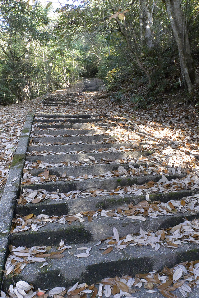 傘松公園への登り道