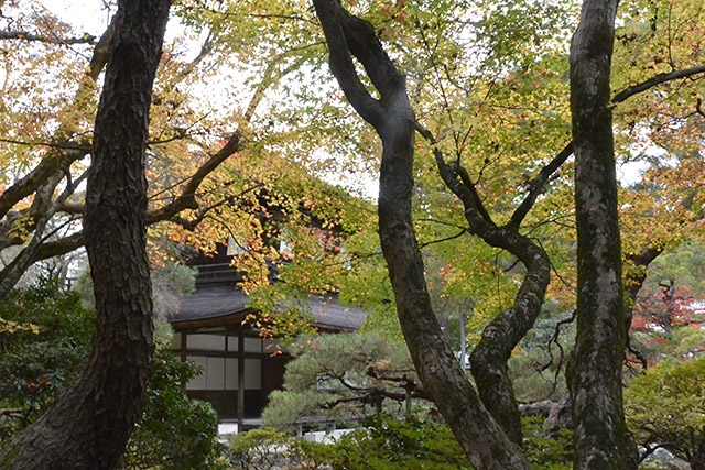 銀閣寺