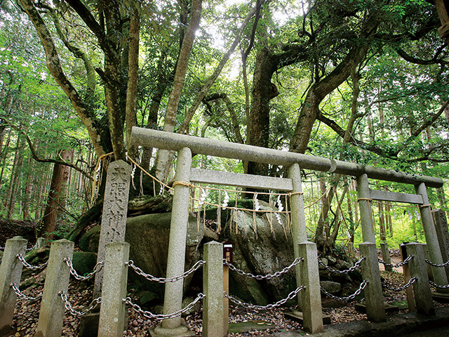 眞名井神社・磐座西座