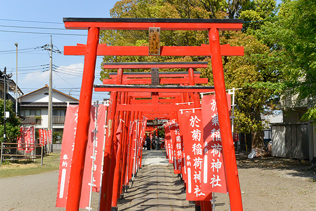 於菊稲荷神社